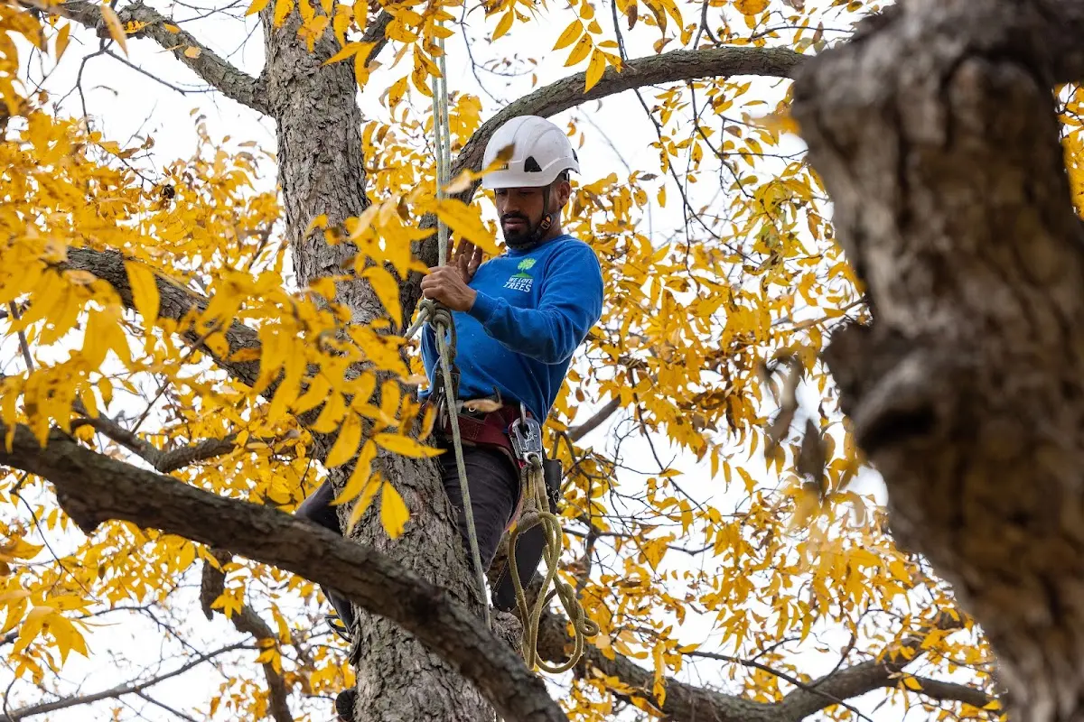 Skilled Storm Damage Cleanup crew working in Sandy Hook